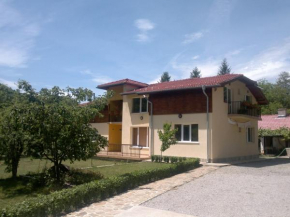 Villa Nanevi